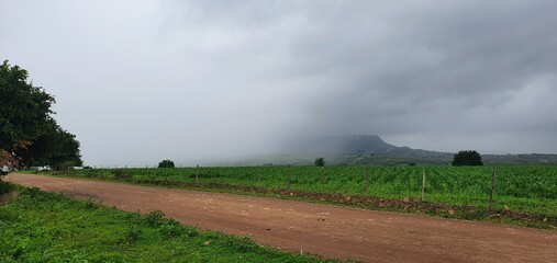 rainbow over the field