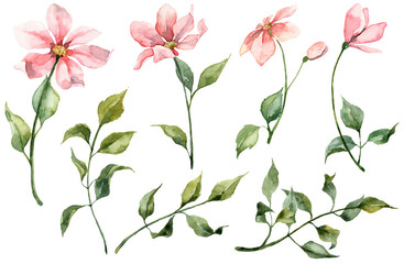 Collection of hand painted pink flowers and green leaves