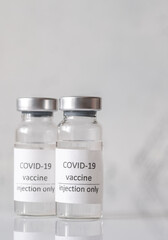 Coronavirus vaccine