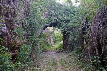 Antigo túnel ferroviário na trilha entre Parada General e Ernestina no Caminho da Luz perto de...