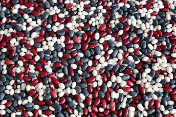 Multi colored beans for background. Food texture of red, white and black beans