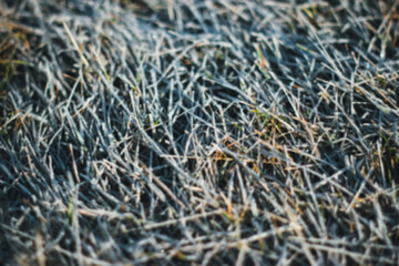Blurred background of frozen grass