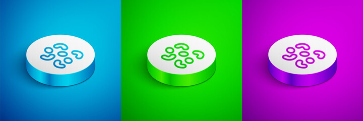 Isometric line Jelly candy icon isolated on blue,green and purple background. White circle button. Vector.