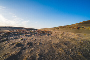 晴れた日の中田島砂丘