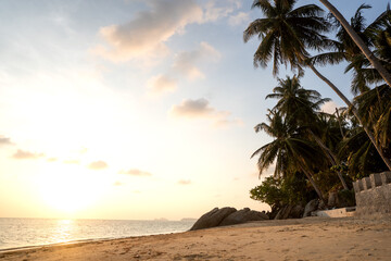 Obraz na płótnie Canvas beautiful beach at sunset among palm trees