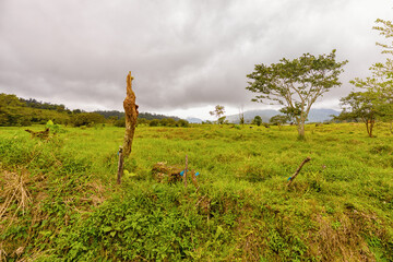 Panoramic view of an empty agriculture field