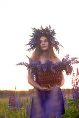 A young girl with a floral wreath on her head stands at sunset in a field, holding a wicker basket with a large luxurious bouquet with purple lupins. Blooming field in summer.