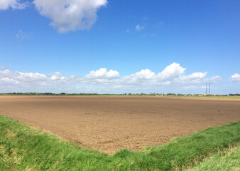 Fototapeta na wymiar Freshly drilled fen arable land. Brown soil. Green grass bordering open field drainage ditch. Europe UK East Lincolnshire Trusthorpe