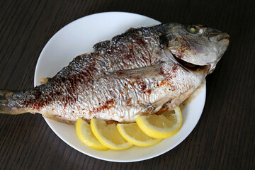 Baked Dorado fish with spices on a plate served with lemon slices. Tasty fish dish, healthy food with omega fats