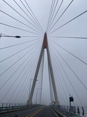 bridge over the river