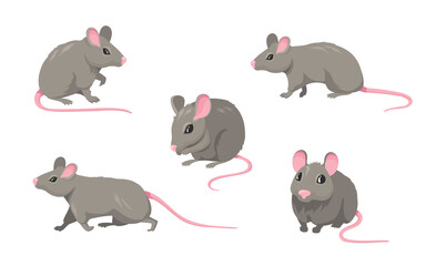 Cartoon mouse set. Grey furry rodent little rat with pink hairless tail walking or sitting isolated on white. Vector illustration for pet, animal, wildlife concept