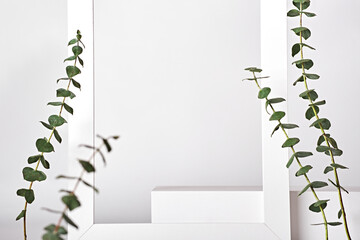 Premium white podium on white background with eucalyptus branches. Mock up for presentation of...