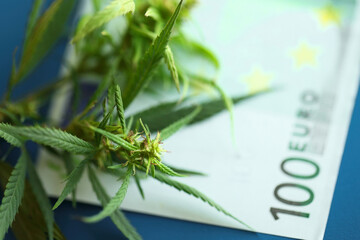 Euro bills with a marijuana with copy space. Concept of buy or sell cannabis or drug trafficking. Euro cash and hemp or cannabis