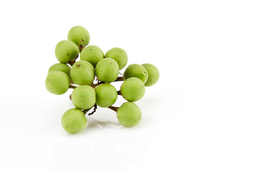 Solanum torvum ,Turkey berry on white