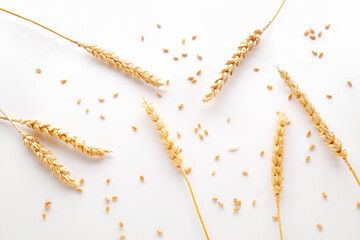Wheat spikelets and grains on white background