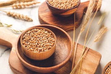 Bowls with wheat grains on light background