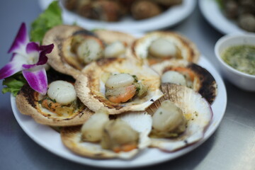 Grilled Scallops
