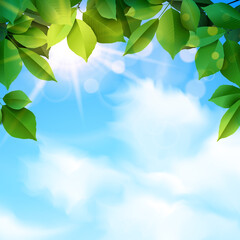 green leaves and sunbeams spring background