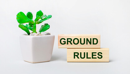 On a light background, a plant in a pot and two wooden blocks with the text GROUND RULES