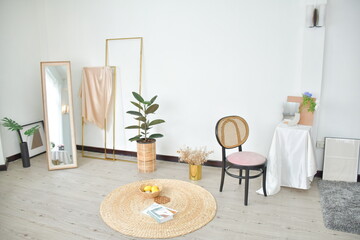 interior studio with house plant design in vintage white room.