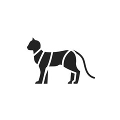 Cat in bandage black glyph icon. postoperative rest. Isolated vector element. Outline pictogram for web page, mobile app, promo.
