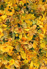 Yellow Flowers Background. Composition with garden flowers.