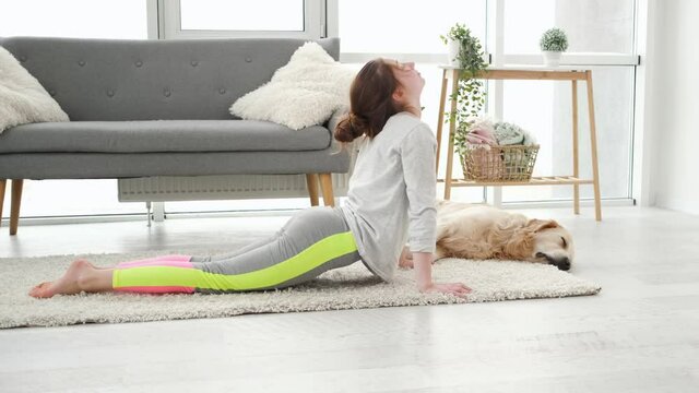 Beautiful young girl in sport outfit doing Upward Facing Dog Pose with golden retriever dog on background. Yoga exercise Urdhva mukha svanasana at home morning workout