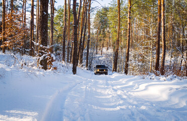 car on a winter forest road
