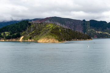 Fjord du détroit de Cook, Nouvelle Zélande