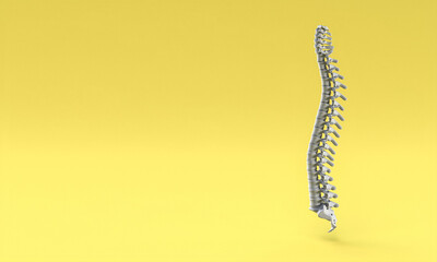 backbone on yellow background.