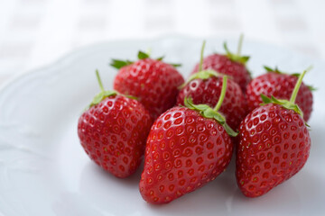 いちご（とちおとめ）