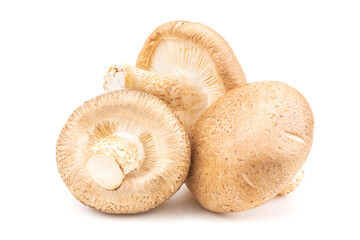 Fresh Shiitake mushrooms