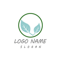 Leaf icon Vector Illustration design Logo template