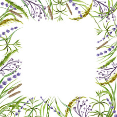 Square flower elegant frame. Hand drawn lavender flowers and meadow herbs in decorative banner. Watercolor realistic garden floral frame. On white background. Wedding invitation postcard.