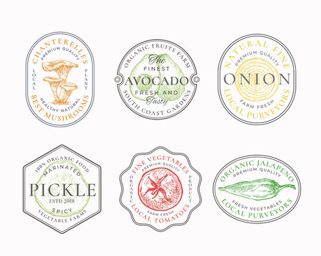 Vegetables and Mushrooms Frame Badges or Logo Templates Collection. Hand Drawn Avocado, Onion, Pickle, Tomato and Jalapeno Sketches with Typography and Borders. Vintage Premium Emblems Set. Isolated