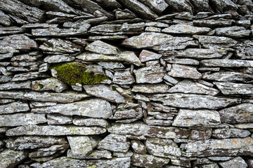 stone wall background with small clomp of moss