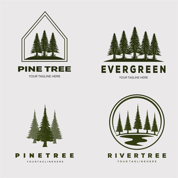 pine tree forest set logo vector illustration design