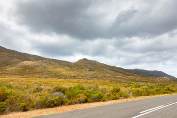 scenic view of mountains and fynbos in coastal Cape Town