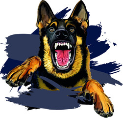 Angry dog on the dark background