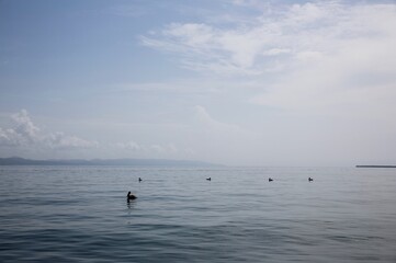 fishing in the sea