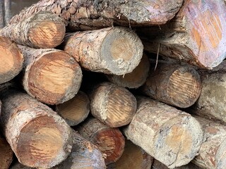 wood log pile