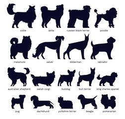 Dog silhouettes. Various breed. Doberman, malamute and labrador, poodle and corgi, bulldog and pug. Isolated vector set. Collection of pets or domestic animals as collie, akita and dachshund