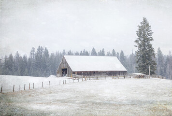 Original winter rural photograph of an old brown barn n the snow with a fence and tall pine trees © Janice