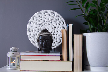 group of several reading books on grey background with white mandala and green plant