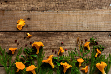 Mushrooms chanterelles and forest moss on a wooden old background. Mock up. Top view.