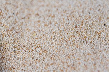 Sweet Barcelona, Spain