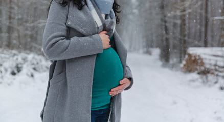 Happy pregnant woman waiting for baby in winter. Pregnant woman holding her belly in winter park....