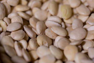 Sweet Barcelona, Spain