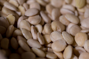 Sweet Barcelona, Spain