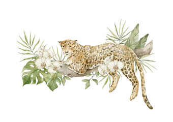 Watercolor cute leopard and floral tropical bouquets. Exotic wild cat, realistic animals rest on tre tree, jaguar and plants, flowers.  © Kate K.